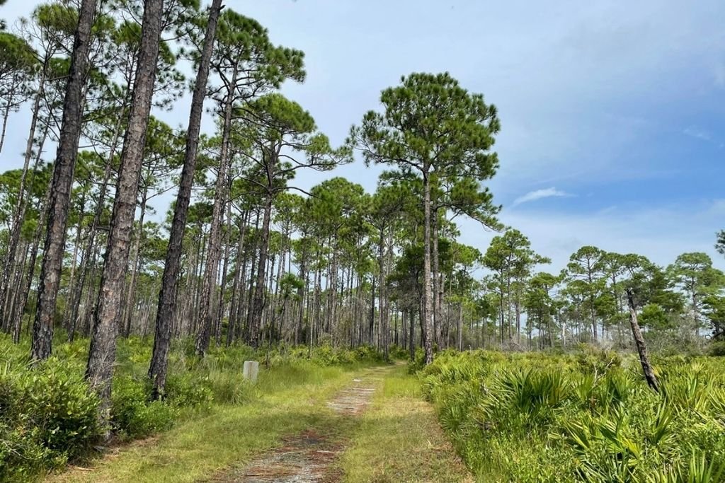 Topsail Hill State Preserve